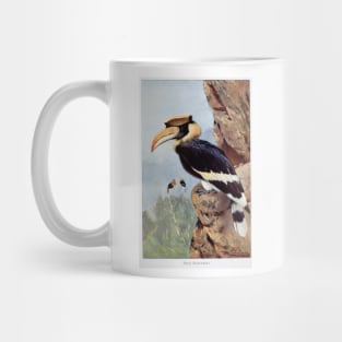 Pied Hornbill Mug